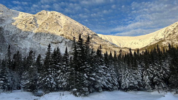 Booter Friday in Left Gully - 11/21/25