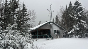 "We are so back" - 11/6/25