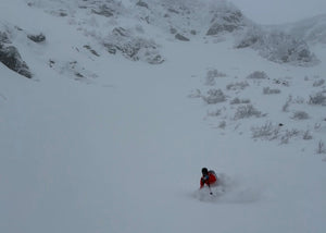 Sunday Pow in Tucks - 12/14/25