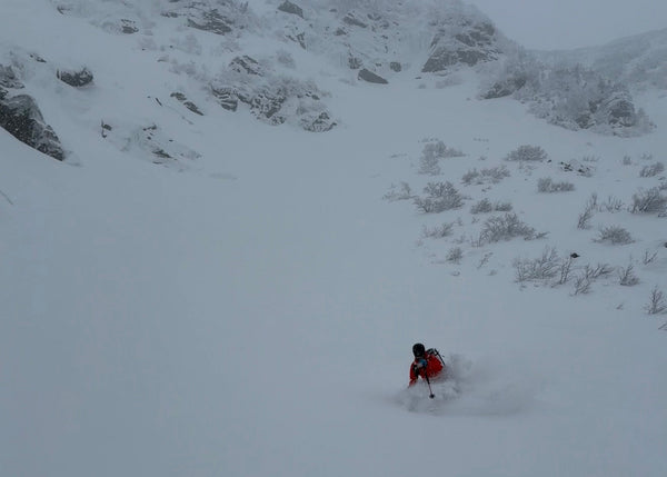 Sunday Pow in Tucks - 12/14/25