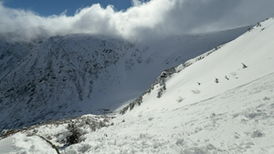 Buttered Lobster - 2/21/26