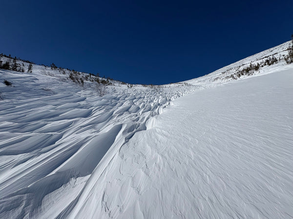 Do you want some sastrugi on your sandwich? - 1/31/26