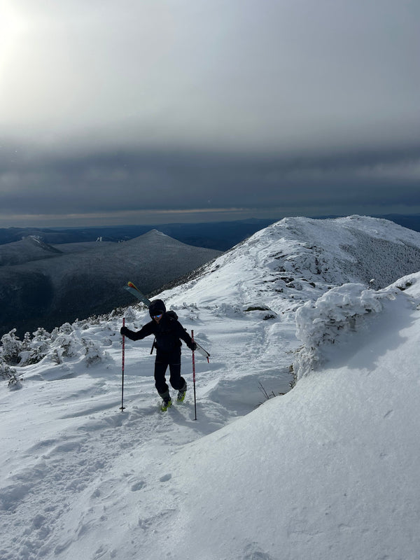 Lincoln's Beard - Crust Party and Dancing with Sharks - 11/25/25