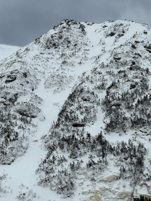 A Quick Right Gulley Poke 1/9/2026