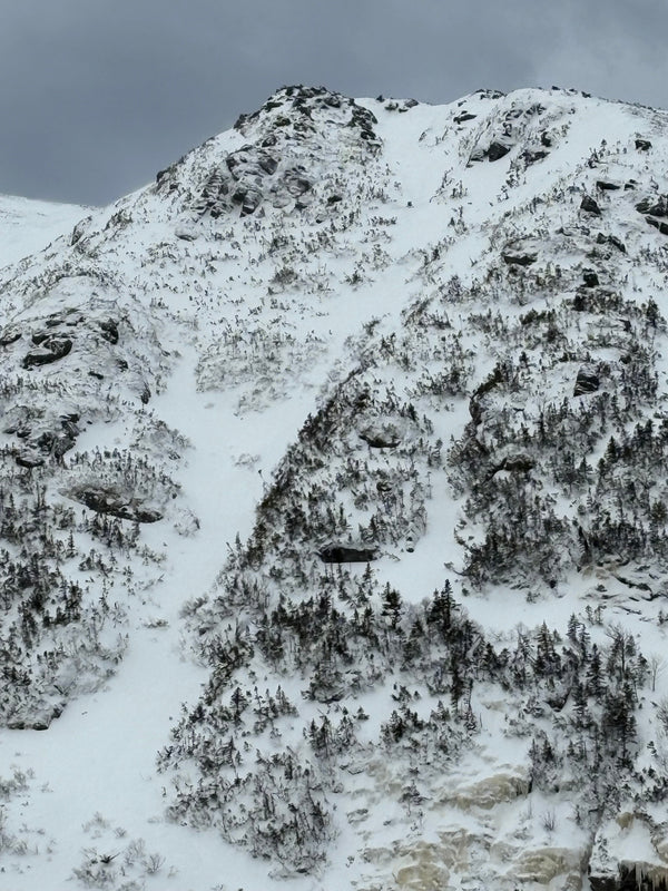 A Quick Right Gulley Poke 1/9/2026