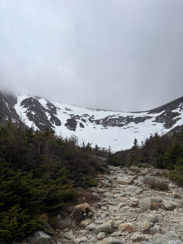 Sun Cups in Left Gully - 5/8/26