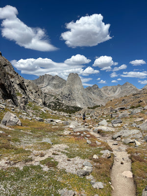 WMSC Employees on Vacation: Wild Wild West
