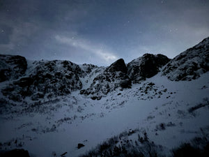 Sunday Stroll - 2/1/26