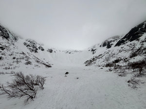 Beating the Rain? - 3/31/26