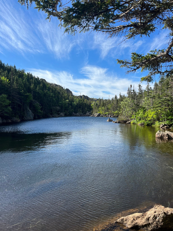 Into the Wild River Wilderness via The Black Angel Trail