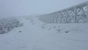 Cloudy Cog Tuesday - 11/18/25