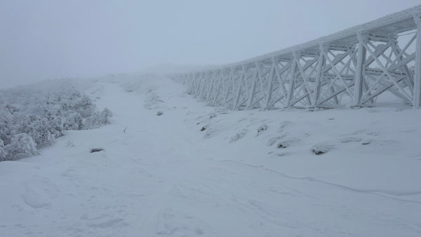 Cloudy Cog Tuesday - 11/18/25