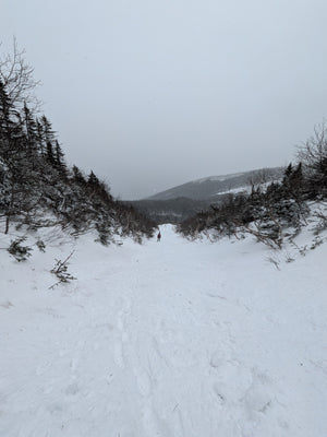 Early Season GOS  - 12/13/25