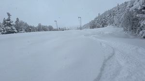 Westside Wigglin' 1/14/25