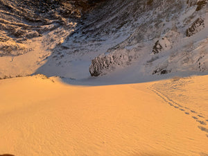 Tuckerman Ravine 1/16/25