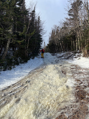 🍀 After The Rain - 3/17/26