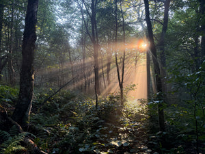 The Vermont Long Trail - Unsupported FKT Attempt 2026