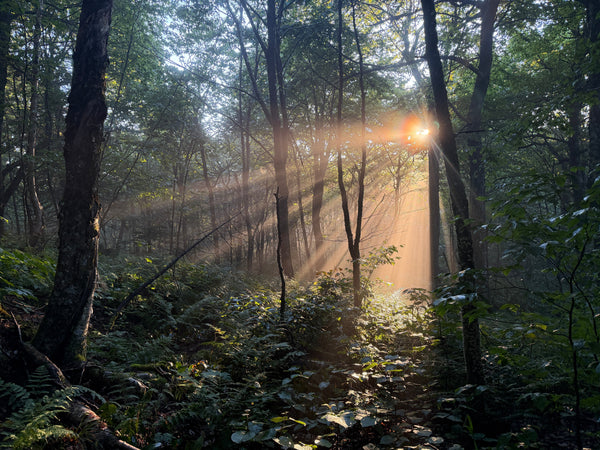The Vermont Long Trail - Unsupported FKT Attempt 2026