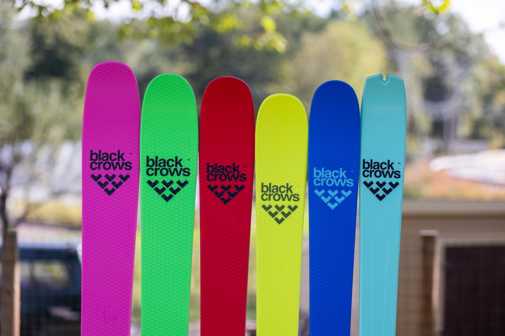 Black Crows – White Mountain Ski Co