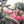 Bliz Eyewear Drift Sport Lifestyle Sunglasses
