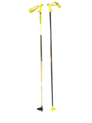 Ski poles on a white background. 