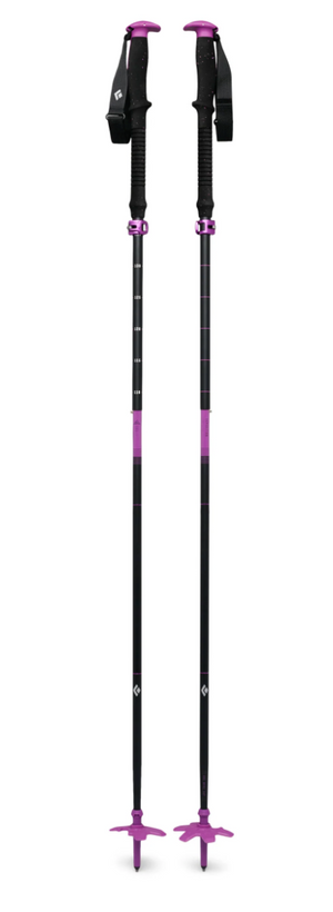 Black Diamond Expedition Ski Pole - 2027