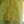 Patagonia Lined Running Shorts - L - Vermont 100 Finisher