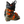 Tecnica Zero G Tour Team 24.5 Ski Boot 24/25 - USED