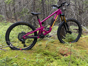 Santa Cruz Bronson Size Large - Fits 5' 9" to 6' 1"