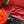 Norrona Men's Lofoten Hiloflex200 Jacket 2023