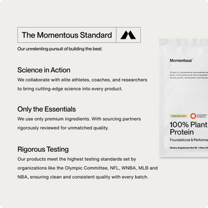 100% Plant Protein 10-Travel Packs - White Mountain Ski Co