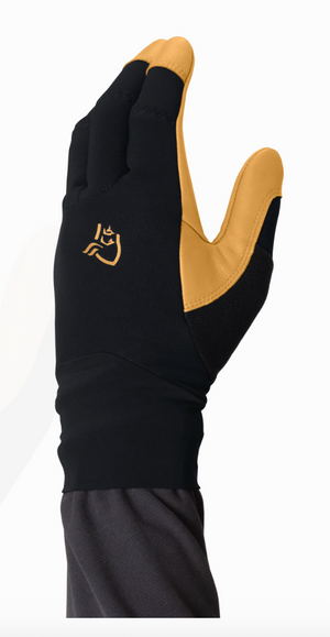 Black glove with gold accents on a white background