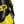 Close-up of a yellow and black ski binding on a white background