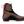 Alpina Nordic Pioneer Pro XP Boot - White Mountain Ski Co