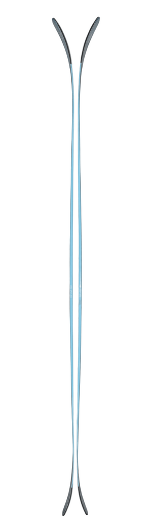 Ski with black and blue design on a light gray background