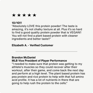 100% Plant Protein Powder - White Mountain Ski Co