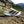 Adidas Terrex Women's Agravic TT Trail Running Shoes - 2026 - White Mountain Ski Co