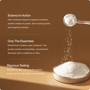 Creatine - White Mountain Ski Co