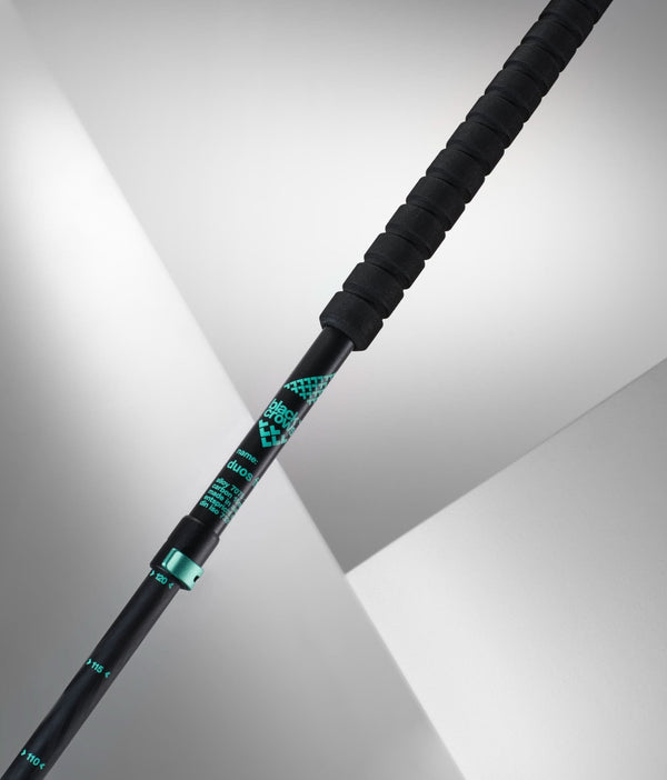 Black Crows Duos Freebird Ski Pole 2025 - White Mountain Ski Co