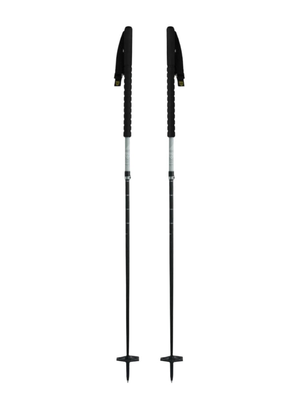 Black Crows Duos Freebird Ski Pole 2025 - White Mountain Ski Co