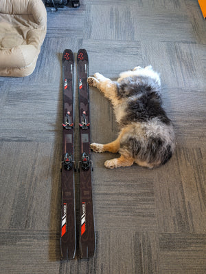 Ski Trab Magico.2 178 cm ski kit - White Mountain Ski Co