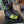 Fischer Speedmax Skiathlon JR EU 41 - USED - White Mountain Ski Co