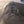Fischer BCX Transnordic Size 47 - USED - White Mountain Ski Co