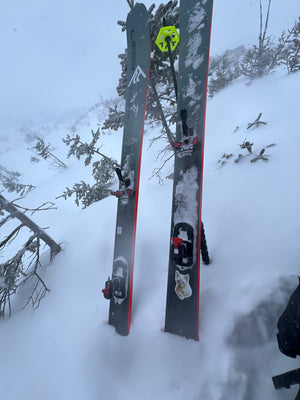 Ski Trab Titan Vario.2 Binding - White Mountain Ski Co