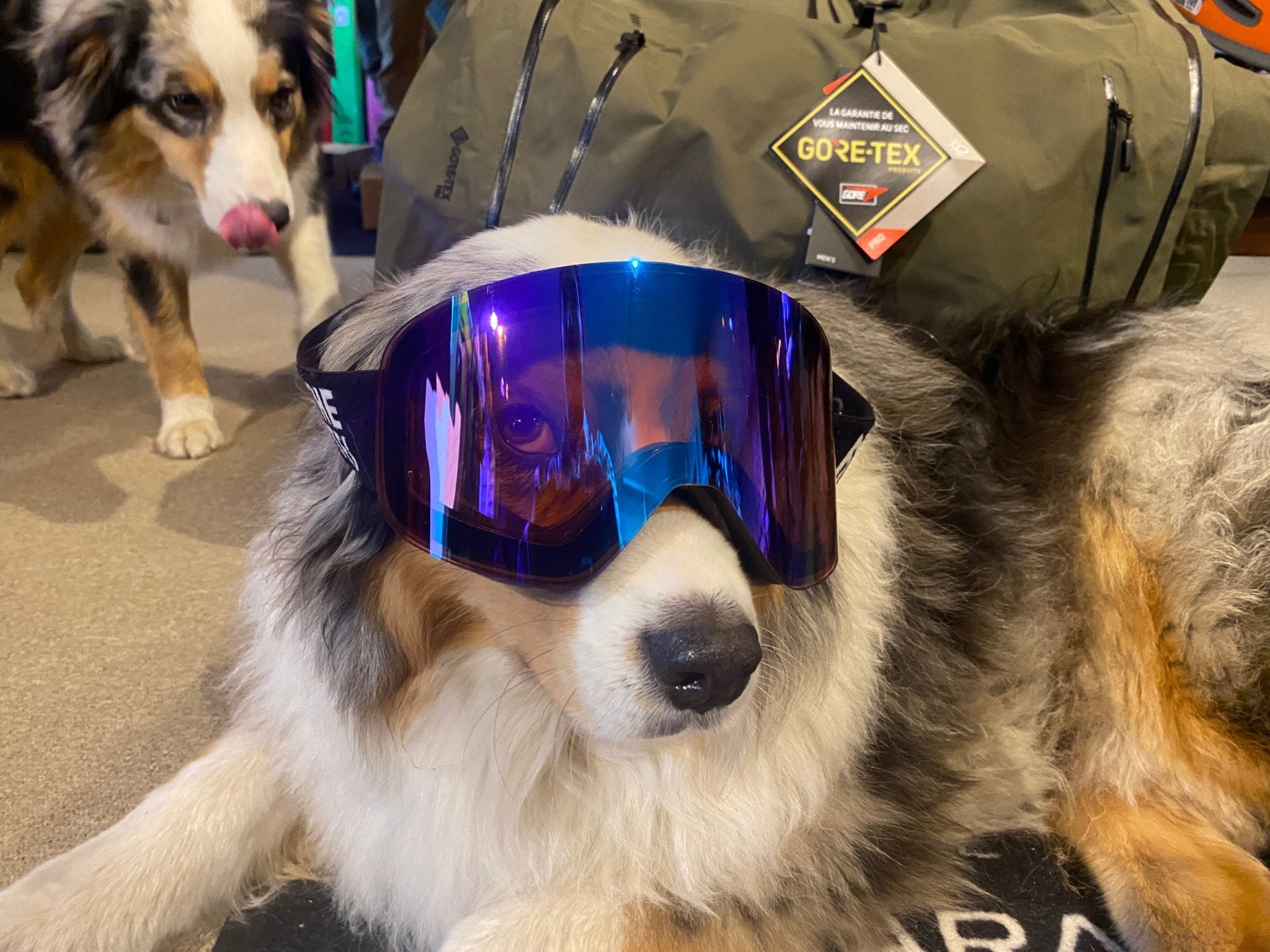White Mountain Ski Goggle Replacement Lenses