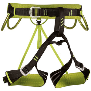 Camp harness alpine flash